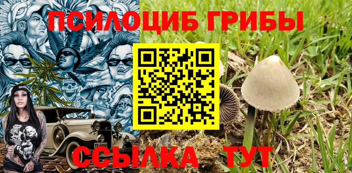 Балтийск  Галлюциногенные грибы MAGIC MUSHROOMS  Вход с VPN  Галлюциногенные грибы прущие грибы 
